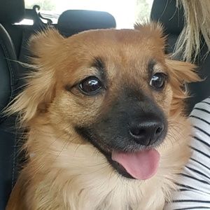 Meet your Posher, Alex